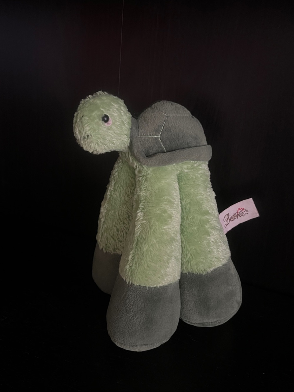 Plush Green Funny Feet Turtle Stuffed Animal by Bestever 9”